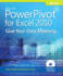 Microsoft Powerpivot for Excel 2010: Give Your Data Meaning (Business Skills)