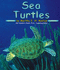 Sea Turtles