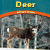 Deer: Graceful Grazers