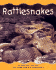 Rattlesnakes