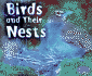 Birds and Their Nests [Scholastic] (Animal Homes)
