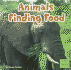 Animals Finding Food