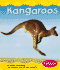 Kangaroos