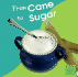 From Cane to Sugar (First Facts)