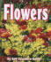 Flowers (Growing Flowers)