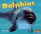 Dolphins (Pebble Plus: Under the Sea)