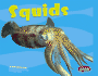 Squids