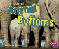 Let's Look at Animal Bottoms