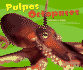 Pulpos / Octopuses (Pebble Plus: Bajo Las Olas / Under the Sea) (Spanish and English Edition)