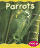 Parrots (Rain Forest Animals)
