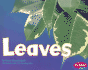 Leaves (Plant Parts Series)