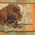 In Love With Labs