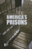 Americas Prisons (Opposing Viewpoints)