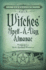 Llewellyns 2015 Witches Spell a Day Almanac: Holidays and Lore, Spells, Rituals and Meditations (Almanac 2015)
