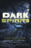 Dark Spirits: a Man Terrorized By the Supernatural