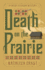 Death on the Prairie (a Chloe Ellefson Mystery, 6)