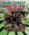 Insects and Spiders