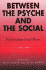 Between the Psyche and the Social Format: Paperback