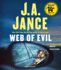 Web of Evil: a Novel of Suspense