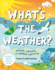 What's the Weather? : Clouds, Climate, and Global Warming