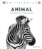Animal: the Definitive Visual Guide (Dk Definitive Visual Encyclopedias)