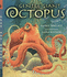 Gentle Giant Octopus (Read & Wonder)