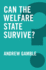 Can the Welfare State Survive? (Global Futures)