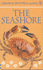 The Seashore (Usborne New Spotters' Guides)