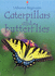 Caterpillars and Butterflies (Usborne Beginners Series)