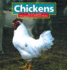 Chickens