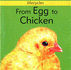 From Egg to Chicken (Lifecycles)