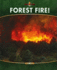 Forest Fire (Natures Fury)