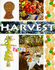 Harvest (Festivals)