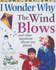 I Wonder Why the Wind Blows and Other Questions About Our Planet (I Wonder Why Series)