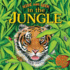 Hide and Seek: in the Jungle