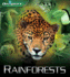 Rainforests