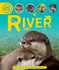 Life Cycles: River (Life Cycles, 24)