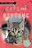 Its All About...Cats and Kittens (Its All About..., 27)