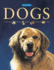 Dogs (Single Subject Reference)