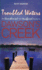 Troubled Waters: an Unauthorised and Unofficial Guide to Dawson's Creek
