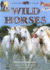 Wild Horses Exploring Nature See the Beauty, Speed and Power of These Graceful Creatures and Their Relatives, With 190 Exciting Pictures