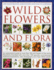 An Illustrated Identifier and Encyclopedia: Wild Flowers and Flora