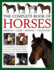 The Complete Book of Horses Breeds, Care, Riding, Saddlery a Comprehensive Encyclopedia of Horse Breeds and Practical Riding Techniques With 1500 Photographs Fully Updated