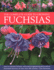 Complete Guide to Growing Fuchsias: Ht Format: Hardcover