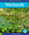 Wetlands (First Reports)