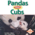 Pandas Have Cubs (Animals and Their Young Series)