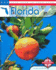 Florida