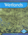 Wetlands (First Reports)