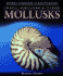 Snails, Shellfish, and Other Mollusks