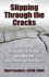 Slipping Through the Cracks: Intervention Strategies for Clients With Multiple Addictions and Disorders